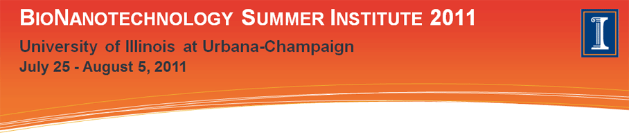 BioNanotechnology Summer Institute